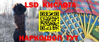 крисы Апшеронск