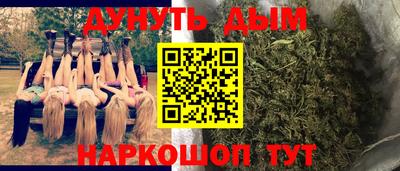крисы Апшеронск