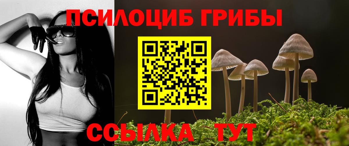 Галлюциногенные грибы Magic Shrooms Белово
